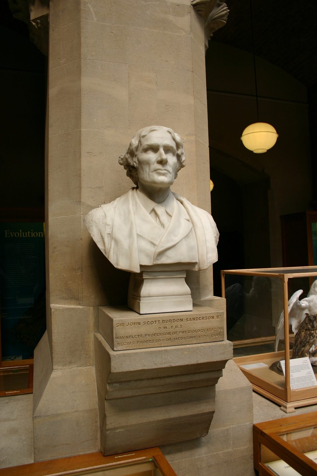 John%20Scott%20Burdon-Sanderson%27s%20bust%2C%20Oxford%20University%20Museum%20of%20Natural%20History%2C%20Oxford.JPG